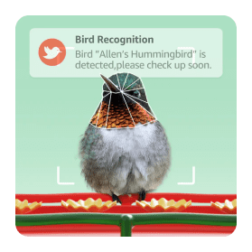 Comes a notification on your mobile to your bird's activity.
